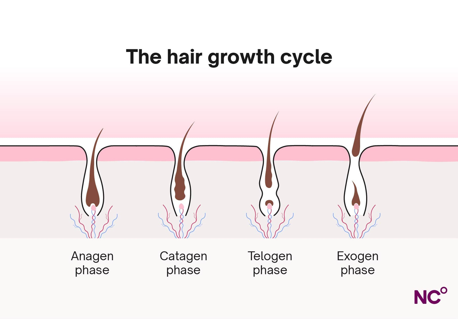 How Environmental Stress Alters Hair Structure