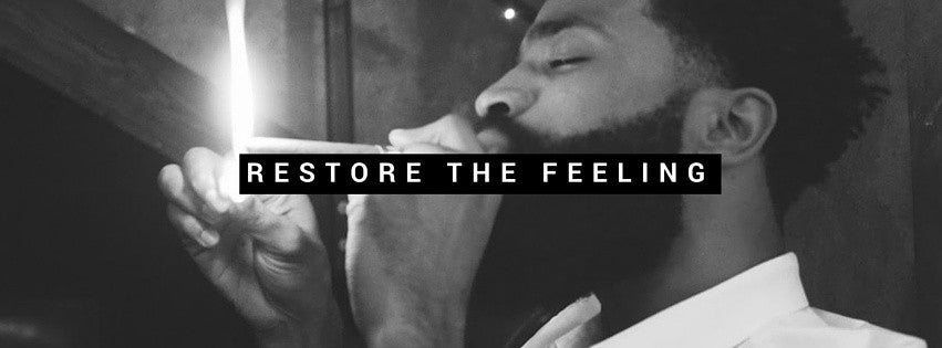 King Care Grooming Tips